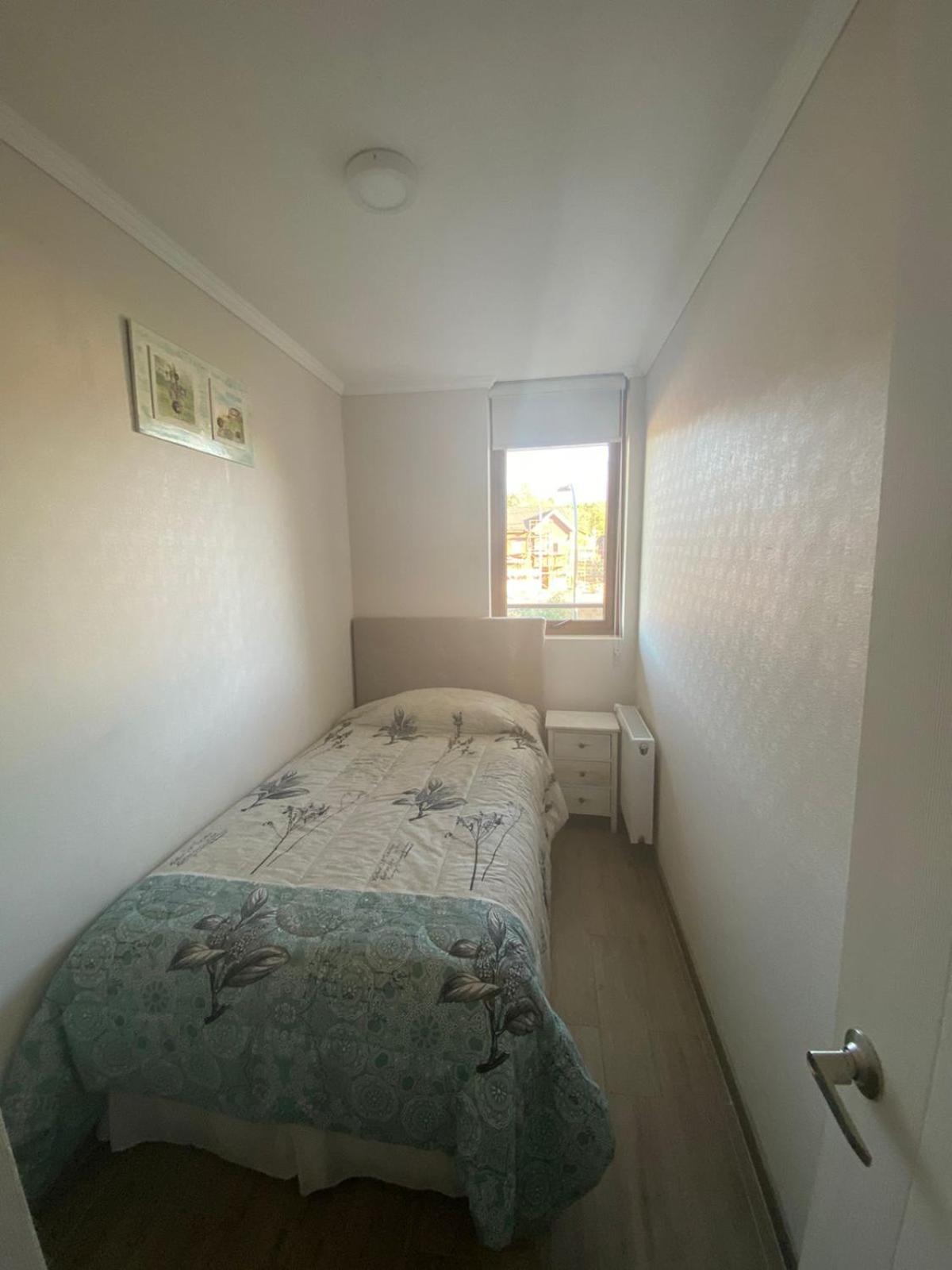 Departamento Alicura - * Pucon