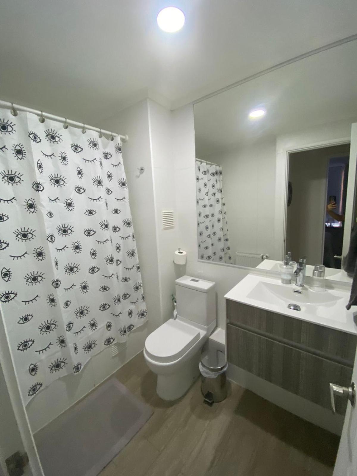 Departamento Alicura - *