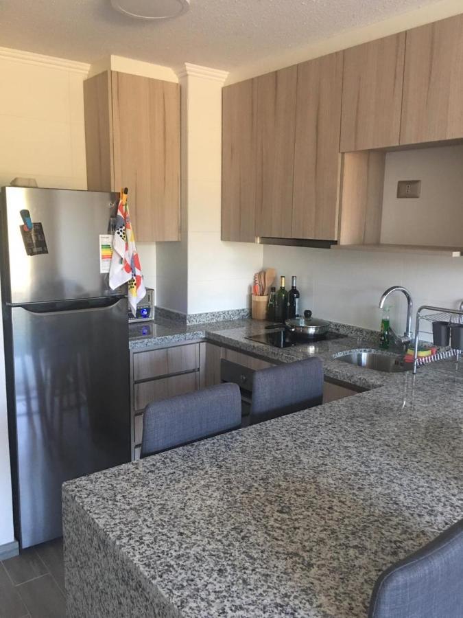 Departamento Alicura - * Pucon